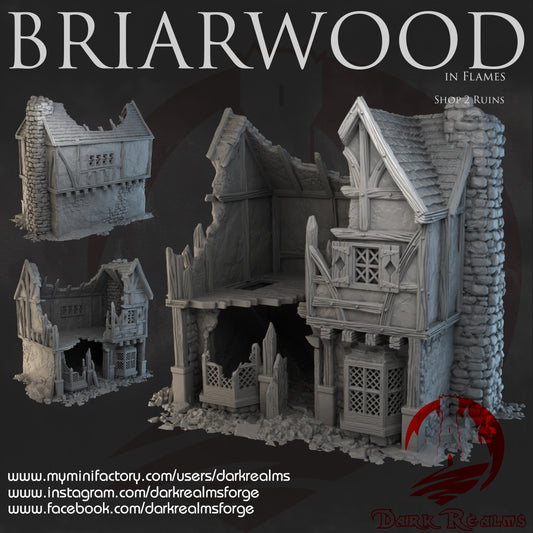 Tienda 2 en ruinas Briarwood – Escenografía fantasía 3D para wargames LM3D