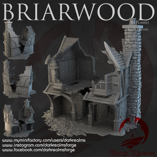 Tienda 1 en ruinas Briarwood – Escenografía fantasía 3D para wargames